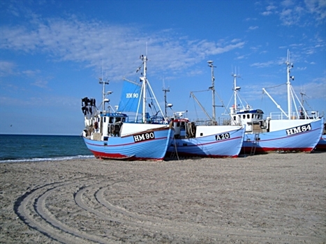 Holiday home Fjerritslev