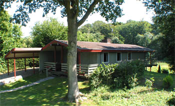 Large Cabin