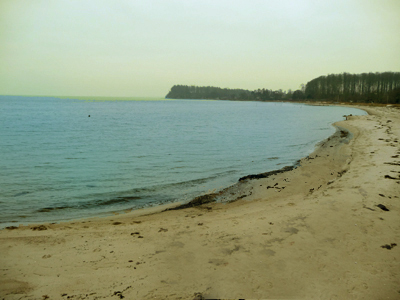 Nice beach